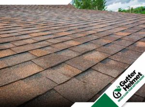 Asphalt Shingles roofing