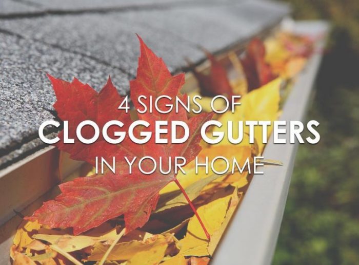 Signs of Clogged Gutters